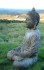 Stone Cast Buddha Garden Statue