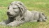 Left Handed Laying Stone Cast Ornament