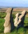 Three Stone Garden Easter Island Head Ornaments