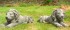 Pair of Laying Lions Garden Ornaments